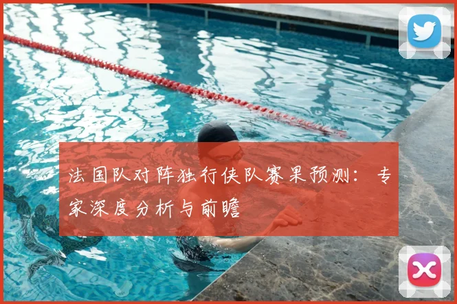 法国队对阵独行侠队赛果预测：专家深度分析与前瞻