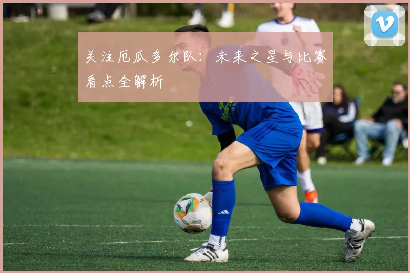 关注厄瓜多尔队:未来之星与比赛看点全解析